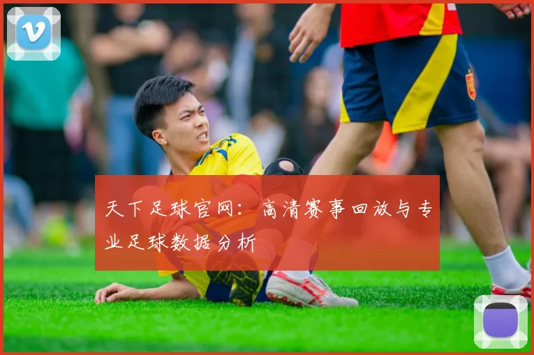 天下足球官网:高清赛事回放与专业足球数据分析